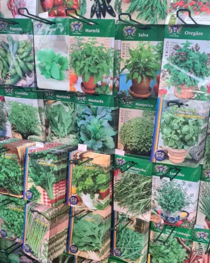 Plantas Aromaticas