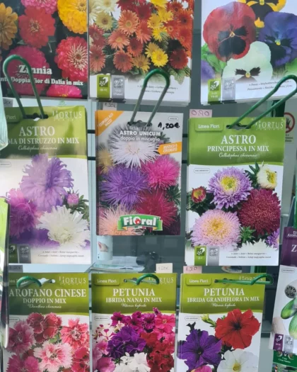 Sementes de Flores