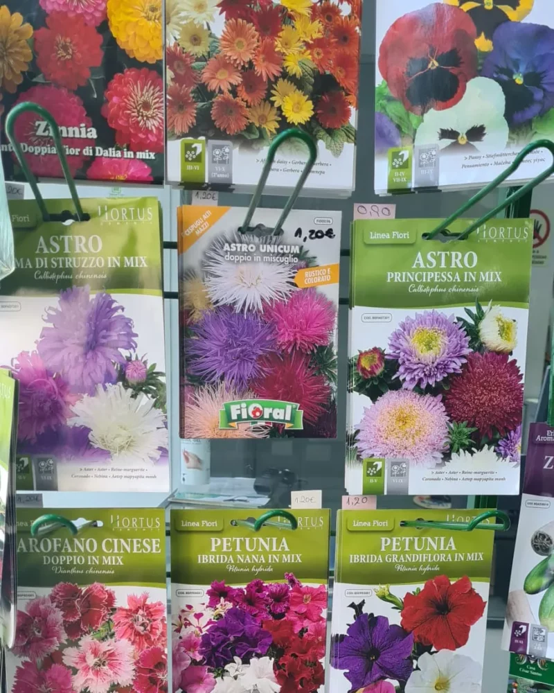 Sementes de Flores