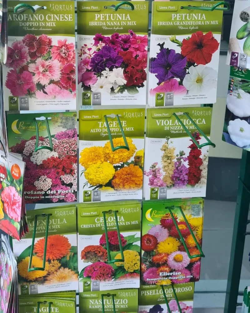 Sementes de Flores - Image 2