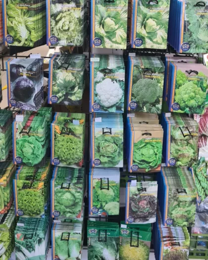 Sementes de Hortícolas